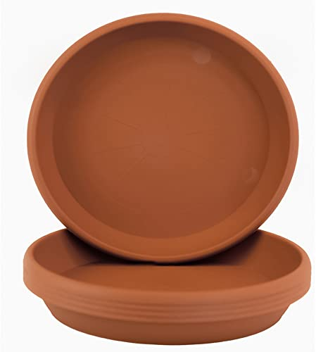 Home Garden Ornaments Plato Maceta Redondo 32cm de Diámetro Marrón Claro Juego de 5 - Duradero Platos Macetas Plastico - Platos para Macetas para Exteriores e Interiores (Ø32cm, Marrón Claro)