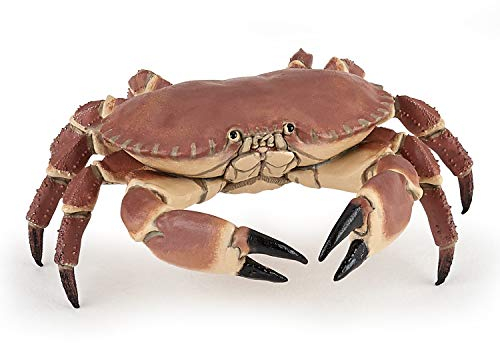 Papo - Realistische Krabbenfigur - Pädagogische Meeresfigur - ab 3 Jahren - Meereswelt - handbemalt - REGT die Fantasie an - 8cm x 7,5cm x 2,5cm - pädagogisches Spielzeug - Geschenkidee