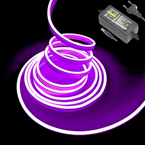 Balabaxer Lile Neon-LED-Streifenlichter, 16,4 Fuß/5 m 12 V DC 600 SMD2835 LEDs Wasserdichtes Lichtschlauch für Indoor Outdoor Home Decoration (mit Netzteil)