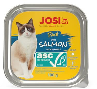 JosiCat Paté with Salmon (32 x 100 g) | Adult | Premium Nassfutter für ausgewachsene Katzen | Pastete mit Lachs (ASC-Zertifiziert) | getreidefrei | Powered by JOSERA | Katzenfutter nass | 32er Pack