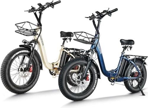 HANEVEAR H6-S Elektrofahrräder E Bike Klappbar, 24Ah 140km+ Battery, E-Klapprad E-Faltrad 20x4'' All-Terrain Fat Tire, 250W Motor 25km/H, E Bike Damen Herren 180kg Payload, 168-195CM (Gold+Blau)