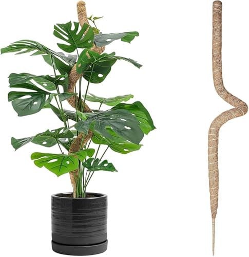 TsLolly 1 x 120 cm Coir mosstab, moosstab für Monstera, rankhilfe Monstera, rankhilfe Monstera,Monstera rankhilfe