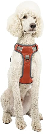 Embark Pets Adventure Dog Harness, No Pull Dog Harness with 2 Leash Clips, Medium Anti Pull Front & Back with Control Handle, Adjustable, Soft & Padded