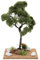 Holyart Baum Ulme, 25 cm Höhe, für Krippe
