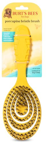 Burt’s Bees for Pets Porcupine Bristle Brush for Large Dogs with Handle Made from Recycled Plastics Collected from Coastal Communities - Flex-head Grooming Brush