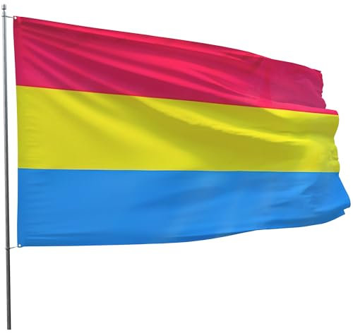 1,5 x 0,9 m Pansexuelle Pride Flagge, doppelseitig mit breiten Ösen, extra große Pride Flaggen, Omnisexualität Pride Flagge, Zubehör, LGBTQ Parade Geschenk