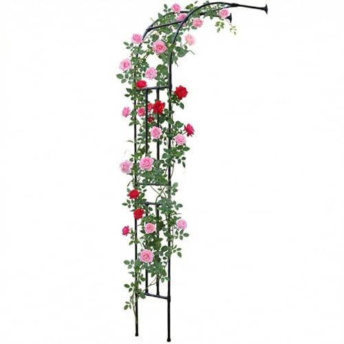 TRAGLO Pergolato da Giardino in Metallo con Arco A Semicerchio per Piante Rampicanti, Supporto Arco per Rose Altezza 240cm, Arco da Giardino per Patio, Cortile(150x240cm)