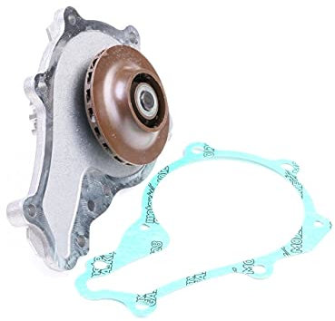 DAYCO DP077 Bomba de agua