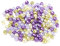 beadsvision 500 Glasperlen 6mm Glaswachsperlen rund bunt Mix Farbwahl Perlen zum auffädeln Schmuckherstellung (500 Glasperlen lavendelgarten Mix 3)