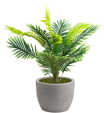 NICOLI - Maceta de Resina Giratoria para Interior y Exterior, Macetas Grandes de 30 – 40 – 50 – 60 cm de Diámetro (40 cm con Palma 100 cm, Ceniza)
