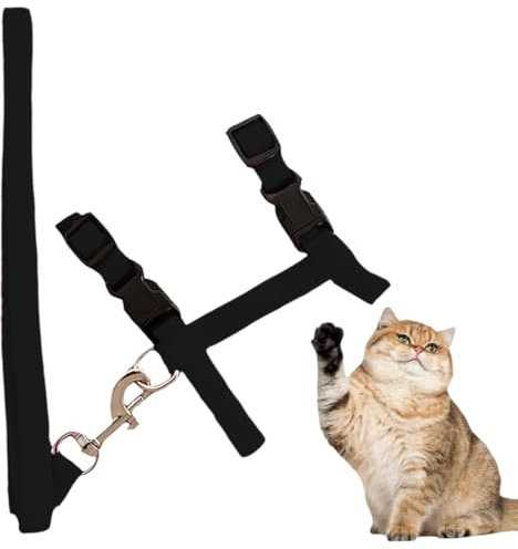 EIHI Katzengeschirr mit Leine, Verstellbares Nylon Geschirr für Katzen und Kaninchen, Schwarz, 1 Stück