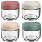 NBBENG Glass Jars Jars with Lids, Overnight Oats jars with, Wide Mouth Mason Jars For Overnight Oats, Small Glass Containers with Lids, Yoghurt Pots, Oatmeal Salad 4 Colors (4-Pack 280ml)