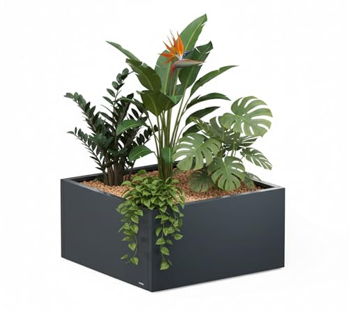 herstera Garden Cube Low L Pflanzkasten, Metall, 100x100x50 cm, 500 L | Verzinkter, pulverbeschichteter Stahl in RAL 7016 mit integrierter Drainage und höhenverstellbaren Füßen, wetterfest.