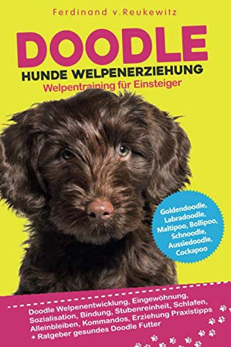Doodle Hunde Welpenerziehung: Goldendoodle, Labradoodle, Maltipoo, Cockapoo & Co - Buch zum Doodle Welpentraining für Einsteiger - Entwicklung, Bindung, Stubenreinheit, Erziehung