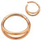 365 SLEEPERS (8mm) Titanium Implant Grade Double Septum Jewellery Hinged Segment Ring Body Piercing Hoop Lip Rings Helix Cartilage Rook Sleeper Earrings
