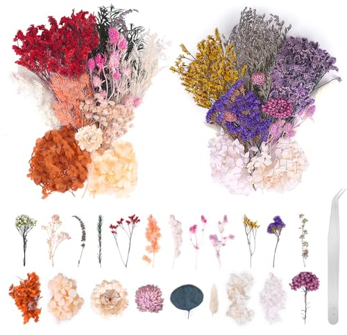 2 Stück Natürliche Getrocknete Blumen Set, Natürliche Gemischte Trockenblumen zum Basteln Deko für DIY Epoxidharz Kunsthandwerk,Kerzen Deko,Karten Deko,Scrapbooking,Hochzeitsdekoration