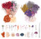 2 Stück Natürliche Getrocknete Blumen Set, Natürliche Gemischte Trockenblumen zum Basteln Deko ​für DIY Epoxidharz Kunsthandwerk,Kerzen Deko,Karten Deko,Scrapbooking,Hochzeitsdekoration