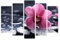 AREDE 5er Set Wandkunst Gemälde Bild Poster Rosa Orchidee auf schwarzen Steinen | 120 x 80 cm | Wandbilder Wanddekoration Home Office Wohnzimmer Schlafzimmer Dekoration | Fertig zum Aufhängen