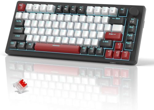 SICONWS STAR75 75% Kompakte Mechanische Gaming-Tastatur, Kabelgebunden, Gelbe Schalter, Blaue Hintergrundbeleuchtung, Drehregler, Eva-Schaum, NKRO, 75 Tasten für PC Gamer (Black & White - Red Switch)