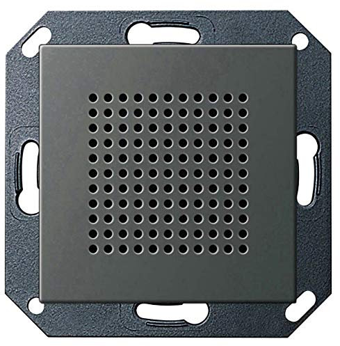 Lautsprecher UP-Radio RDS System 55 GIRA 2282600