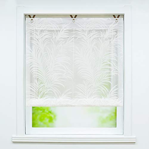 Joyswahl Voile Ösenrollo Transparenter Raffrollo mit Feder Ausbrennerqualität »Alisha« Schals Fenster Gardine mit Hakenaufhängung, Raffrollo ohne Bohren BxH 120x130cm 1 Stück