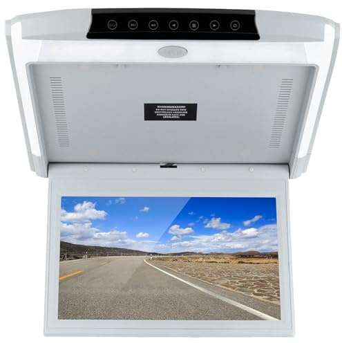 ZenHailure Monitor De Techo para Coche De 17,3 Pulgadas,Monitor Abatible IPS De 1080p,Montaje En Techo,Bluetooth,TV,WiFi,HDMI,USB,SD,FM,Mp5 Altavoz,Reproductor para Android Grey