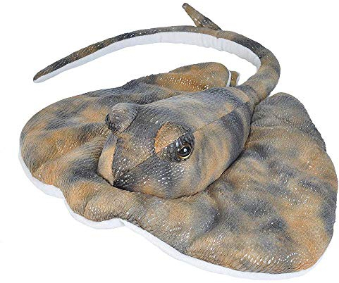 Wild Republic Cuddlekins Südlicher Strahl, Stofftier, Baby-Geschenk für Mädchen und Jungen, Kinder Plüschtier, Kuscheltier Für Babys, Spielzeug aus Recyclingmaterial, 30 cm