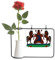 Beauty Gift Lesotho Afrika National Emblem Künstliche Rose Blume Hängende Vasen Dekoration Flasche
