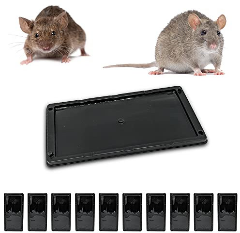 Repulseo® Trappola Adesiva per Topi e Ratti, Grandi Trappole con Colla Professionali, Cattura di roditori, ultra Appiccicoso (10 Piastre Adesive)