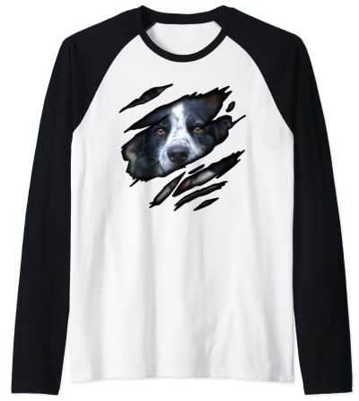Border Collie in Me Design, Dogdesign, Ahnentafel Hund Raglan