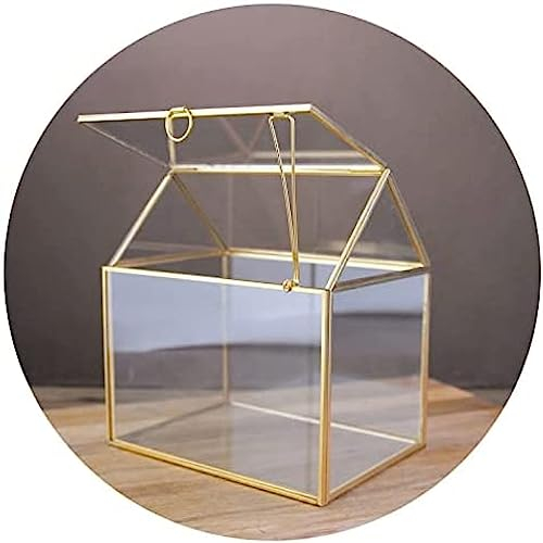 Mini serra in vetro per interni, mini serra per interni per cactus con muschio di felce, terrario geometrico fai-da-te in vetro decorativo, piante grasse e ad aria - Decorazioni per il giard