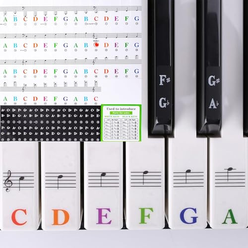 Zuuyye - Klavier Noten Aufkleber für 88/76/61/54/49/37 Tasten, Keyboard Tastenbeschriftung, Lernhilfe für Anfänger & Kinder