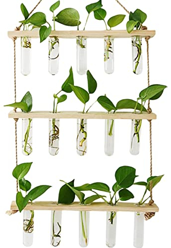 LOSOO Reagenzgläser Für Blumen Mit Ständer, 3 Etagen Hängende Vermehrungsstation Für Pflanzen Wand Pflanzgefäß Glas Reagenzglasvasen Für Drinnen Und Draußen Geeignet