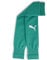 PUMA Herren Teamgoal Sleeve Fußballsocken, Sport Green-PUMA Weiß, 4 EU