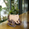 LASTOOLS Smily Face Planter Pot Niedliche Harz Blumenkopf Pflanzgefäße für Indoor Outdoor, Sit Schaukelstuhl Sukkulenten Blumentöpfe mit Abflussloch, GeschenkideeI für Geburtstag, Weihnachten