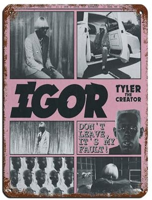 HGEIK Tyler Poster The Creator, Igor-Poster, Blechschild, Vintage, Metall, Pub, Club, Café, Bar, Zuhause, Wandkunst, Dekoration, Poster, Retro, 30 x 40 cm