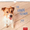 Für Hundefreunde 2021: Wandkalender mit Monatskalendarium