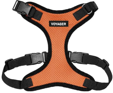 Best Pet Supplies Voyager Step-In Lock Haustiergeschirr – Allwetter-Netz, verstellbares Step-in-Geschirr für Katzen und Hunde – orange/schwarzer Rand, M