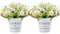 BLOSMON Artificial Flowers Daisy in Pots 2pcs Fake Flower Arrangements with Pot for Decoration Potted Plants Silk Plastic Daisies Floral Bouquet Centerpiece Display Garden Window Kitchen Room Table