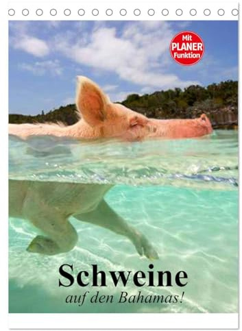 Schweine auf den Bahamas! (Tischkalender 2026 DIN A5 hoch), CALVENDO Monatskalender: Schwimmende Schweine im Dauerurlaub auf den Bahamas (CALVENDO Tiere)