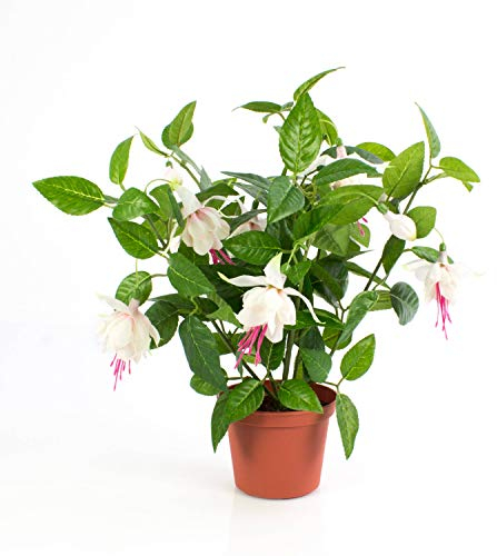 artplants.de Künstliche Fuchsie THAYNARA, 8 Blüten, 4 Knospen, 108 Blätter, weiß - rosa, 30cm - Kunst Fuchsia Pflanze - Deko Blume