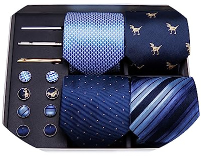 Barry.Wang Blue Ties,Gift for Men Silk Necktie Set Pocket Square Clips