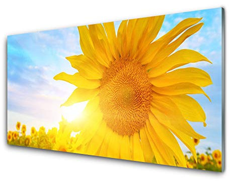 Tulup Glasbilder 100x50cm - Wandbild Druck auf Glas XXL Panorama-Bild Wandbilder aus Echt-Glas Sicherheitsglas Kunstdruck für Küche Wohnzimmer Sonnenblume Pflanzen