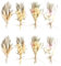 8 Bündel Trockenblumenstrauß Klein, Trockenblumen Klein Trockenblume, Getrocknete Blumen, Trockenblumen Zum Basteln, Trockenblumen Deko für Bilderrahmen DIY Heim-Party Und Hochzeitsdekoration