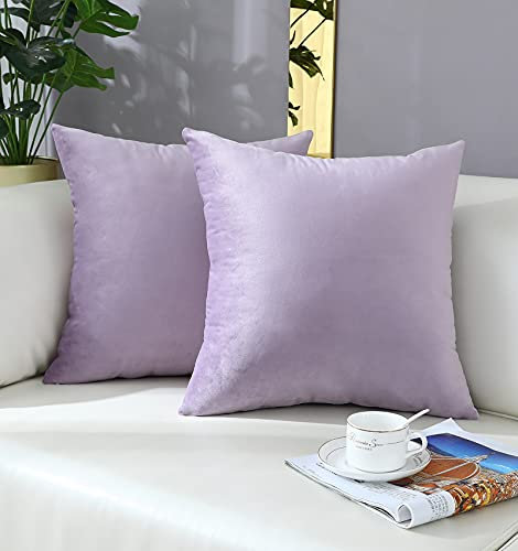 mixeoo Bequeme Lavendel-Kissenbezüge, Dekokissen, Zierkissen, dekorativ, quadratisch, massiv, dick, Samt, super weich, Heimdekoration für Sofa, Couch, Wohnzimmer, Stuhl, 2 Stück, 50,8 x 50,8 cm
