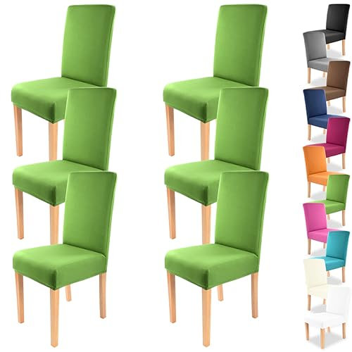 Gräfenstayn 6 STK Stretch-Stuhlhusse Charles - runde und eckige Stuhllehnen - VORTEILSPACKUNG - bi-elastische Passform mit Öko-Tex Siegel Standard 100: „Geprüftes Vertrauen“ (grün)