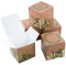 Logbuch-Verlag 10 kleine weihnachtliche Schachteln quadratisch Würfelform grün 8 x 8 x 8 cm Verpackung Kleinigkeit Weihnachten
