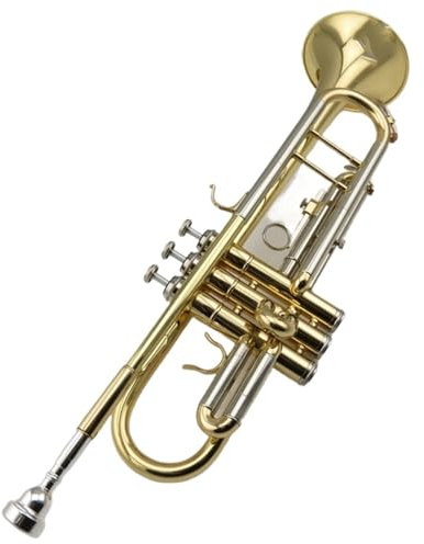 Musikinstrument Trompete Trompeteninstrument B/C-stimmbar Einsteigertest