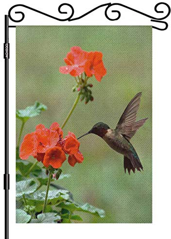 AOYEGO Gartenflagge Kolibri, klein, vertikal, doppelseitig, 31,8 x 45,7 cm, rubingekehlt, auf einer Geranie, rot und grün, Jute, Hof, Outdoor-Dekoration