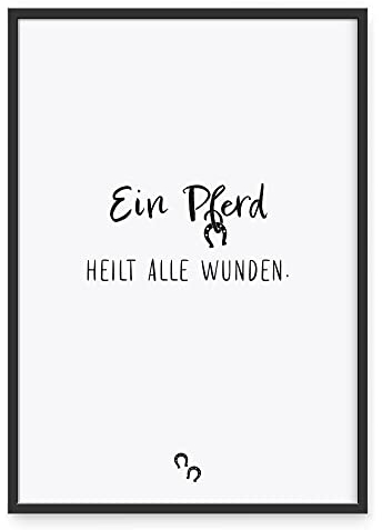 Donari ® Poster mit Pferdesprüchen in A4 ohne Rahmen • Wanddeko in Schwarz Weiß für Wohn- & Schlafzimmer • Geschenk für Tierbesitzer (A4, Pferd - Heilen)
